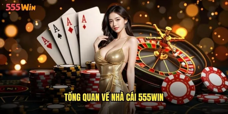 Tổng quan về nhà cái 555WIN