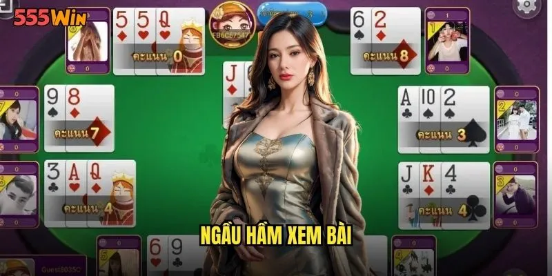 ngầu hầm xem bài